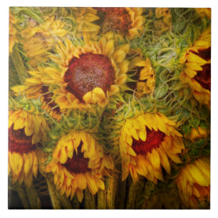 Flowers - Sunflowers - You're my only sunshine Tile