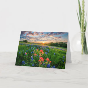 Flowers Texas Bluebonnets & Indian Paintbrush Card