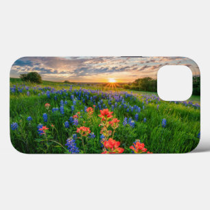 Flowers Texas Bluebonnets & Indian Paintbrush iPhone 13 Case