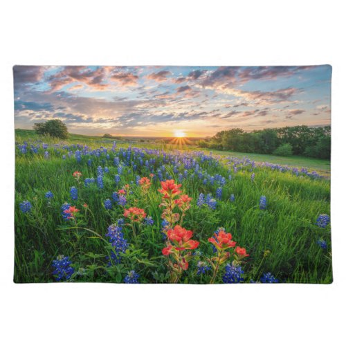 Flowers  Texas Bluebonnets  Indian Paintbrush Cloth Placemat