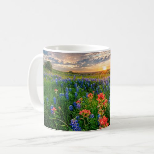 Flowers  Texas Bluebonnets  Indian Paintbrush Coffee Mug