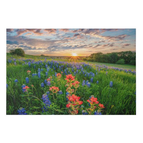 Flowers  Texas Bluebonnets  Indian Paintbrush Faux Canvas Print