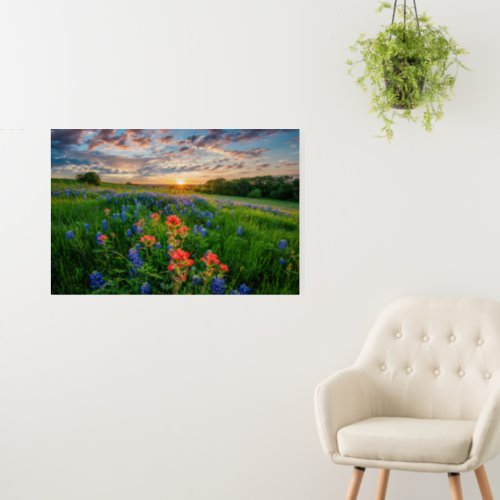 Flowers  Texas Bluebonnets  Indian Paintbrush Foam Board