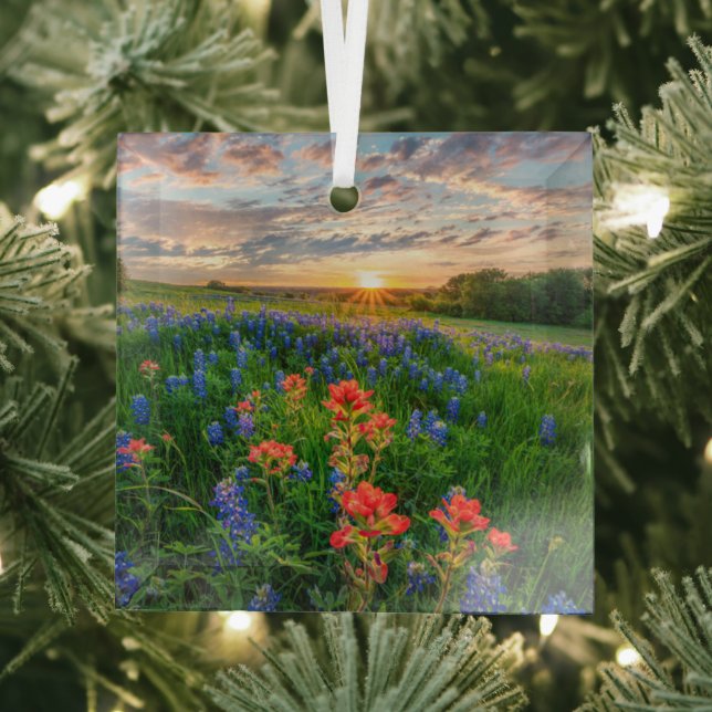 Flowers | Texas Bluebonnets & Indian Paintbrush Glass Ornament (Insitu)