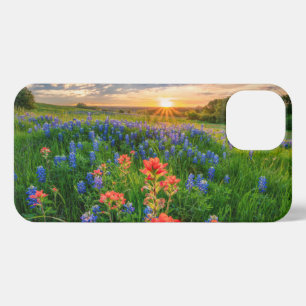 Flowers Texas Bluebonnets & Indian Paintbrush iPhone 13 Case