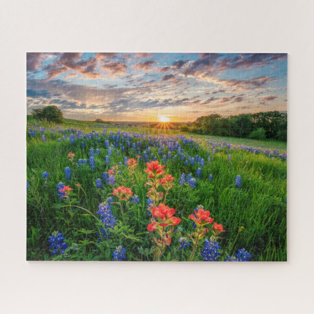 Flowers | Texas Bluebonnets & Indian Paintbrush Jigsaw Puzzle (Horizontal)