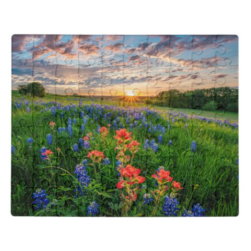 Flowers  Texas Bluebonnets  Indian Paintbrush Jigsaw Puzzle