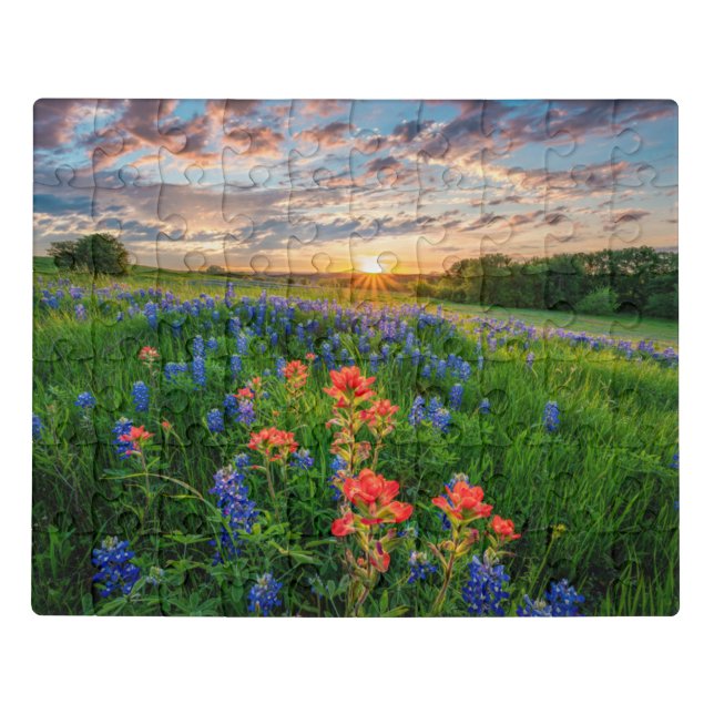 Flowers | Texas Bluebonnets & Indian Paintbrush Jigsaw Puzzle (Puzzle Horizontal)
