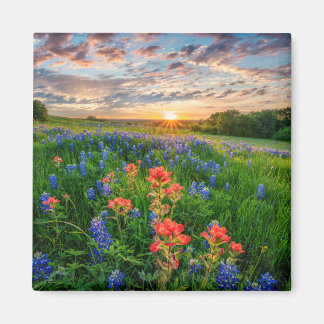 Flowers | Texas Bluebonnets & Indian Paintbrush Magnet