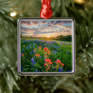 Flowers   Texas Bluebonnets & Indian Paintbrush Metal Ornament