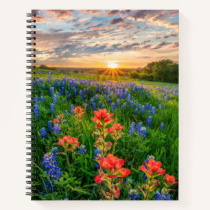 Flowers Texas Bluebonnets & Indian Paintbrush Notebook