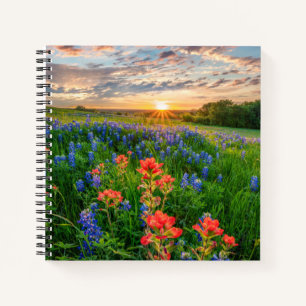 Flowers Texas Bluebonnets & Indian Paintbrush Notebook