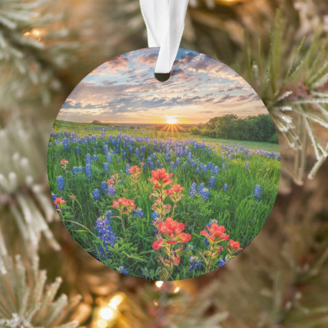 Flowers | Texas Bluebonnets & Indian Paintbrush Ornament (Tree)