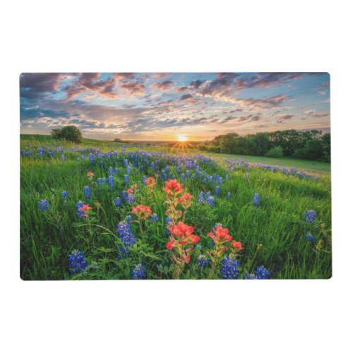 Flowers  Texas Bluebonnets  Indian Paintbrush Placemat