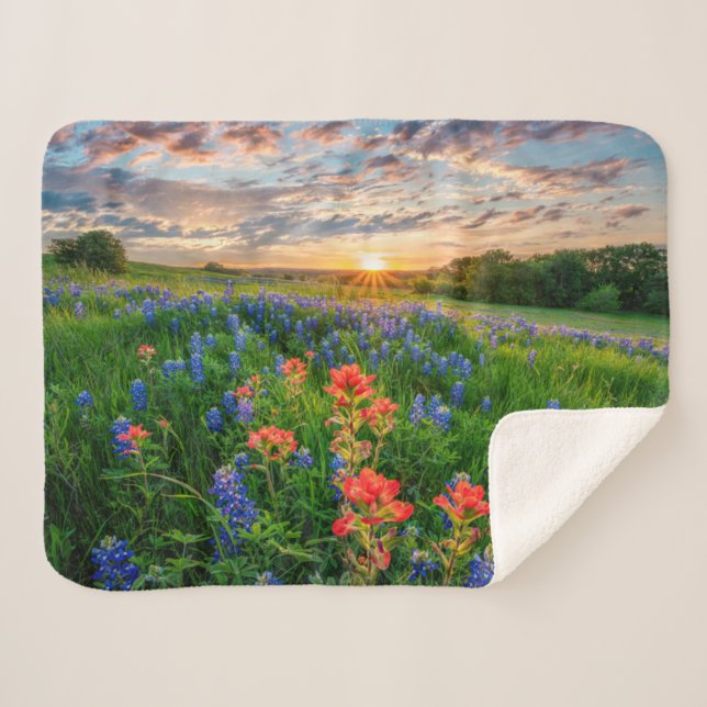 Flowers | Texas Bluebonnets & Indian Paintbrush Sherpa Blanket (Front (Horizontal))