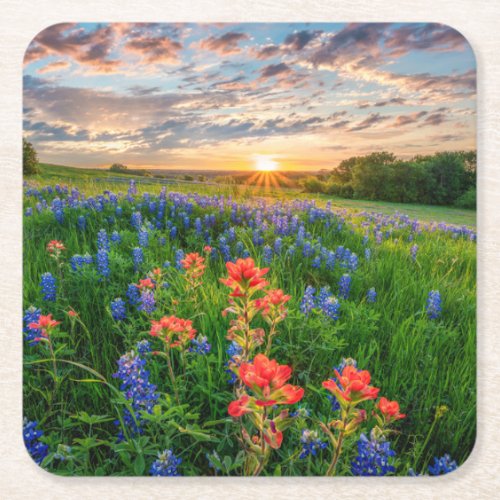Flowers  Texas Bluebonnets  Indian Paintbrush Square Paper Coaster