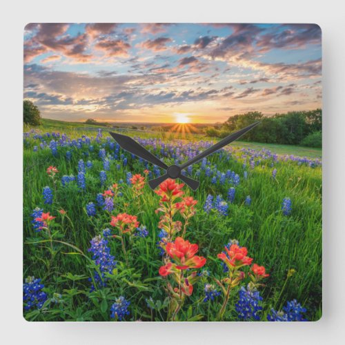 Flowers  Texas Bluebonnets  Indian Paintbrush Square Wall Clock
