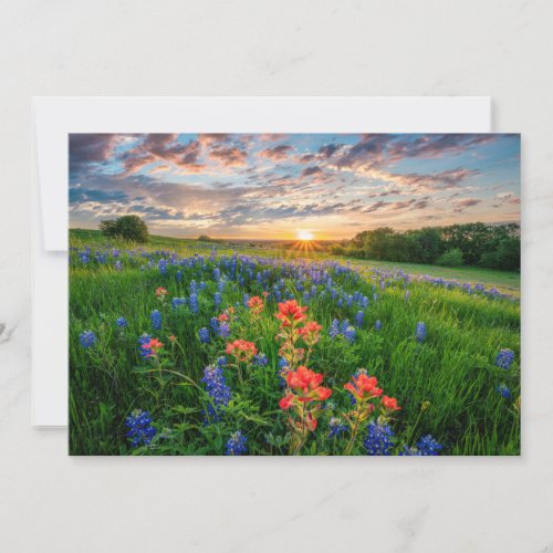 Flowers  Texas Bluebonnets  Indian Paintbrush Thank You Card