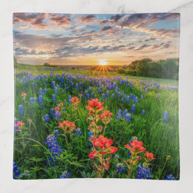 Flowers | Texas Bluebonnets & Indian Paintbrush Trinket Tray (Front)