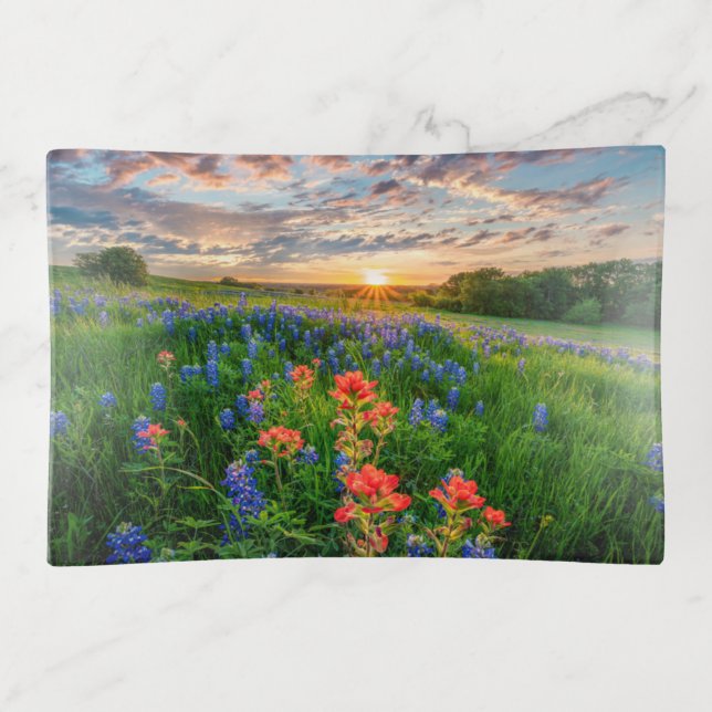 Flowers | Texas Bluebonnets & Indian Paintbrush Trinket Tray (Front)