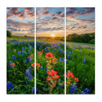 Flowers | Texas Bluebonnets & Indian Paintbrush