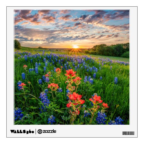 Flowers  Texas Bluebonnets  Indian Paintbrush Wall Decal