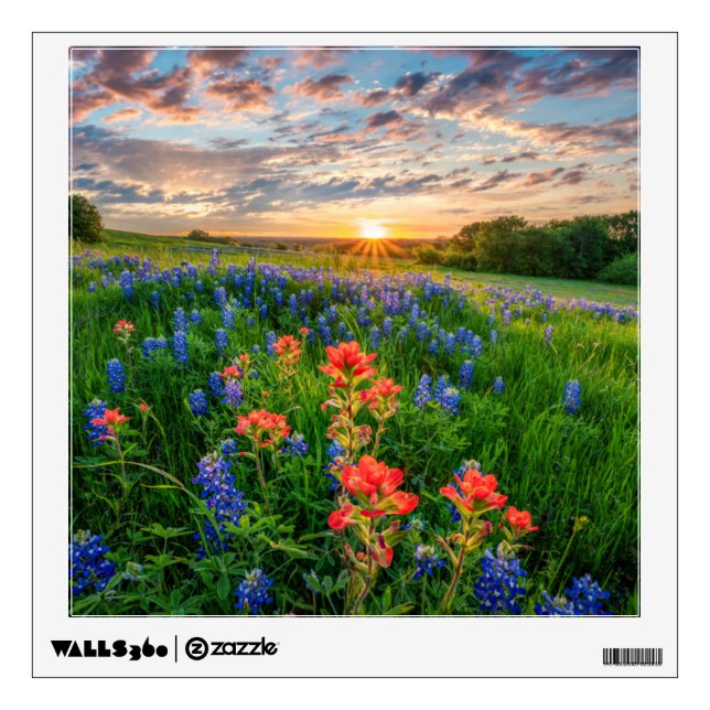 Flowers | Texas Bluebonnets & Indian Paintbrush Wall Decal (Front)