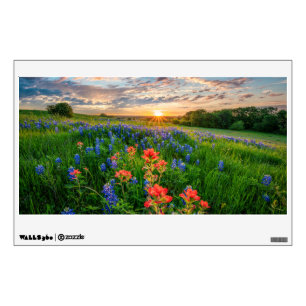 Flowers   Texas Bluebonnets & Indian Paintbrush Wall Decal