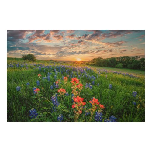 Flowers  Texas Bluebonnets  Indian Paintbrush Wood Wall Art