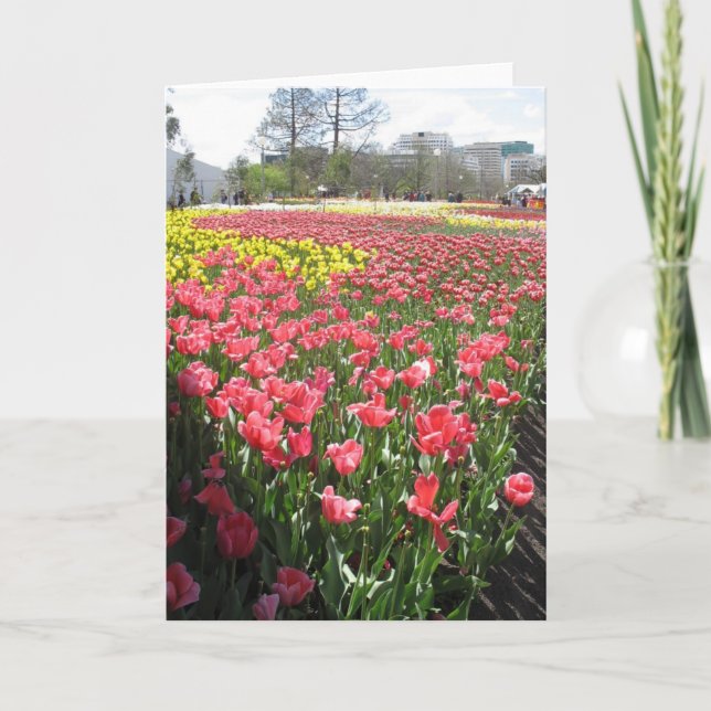 flowers,  thinking of you card (Front)