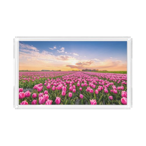 Flowers  Tulips South Holland Netherlands Acrylic Tray