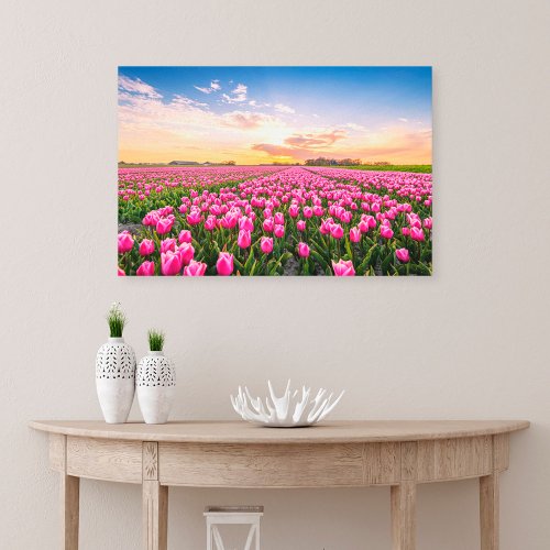 Flowers  Tulips South Holland Netherlands Canvas Print
