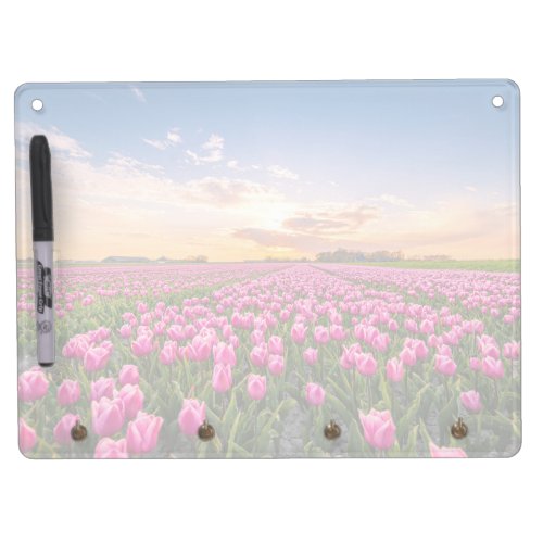 Flowers  Tulips South Holland Netherlands Dry Erase Board With Keychain Holder