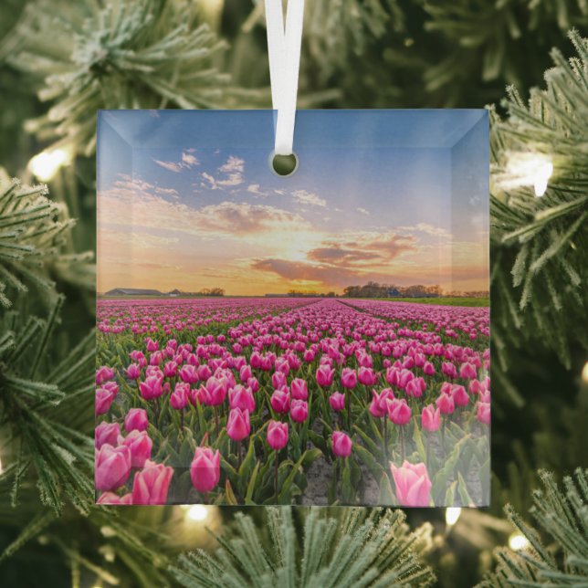 Flowers | Tulips South Holland, Netherlands Glass Ornament (Insitu)