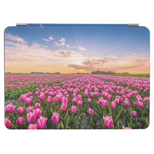 Flowers  Tulips South Holland Netherlands iPad Air Cover