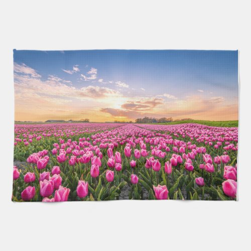 Flowers  Tulips South Holland Netherlands Kitchen Towel