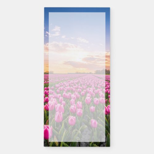 Flowers  Tulips South Holland Netherlands Magnetic Notepad