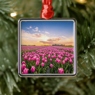 Flowers   Tulips South Holland, Netherlands Metal Ornament