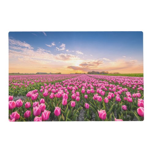 Flowers  Tulips South Holland Netherlands Placemat