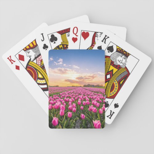 Flowers  Tulips South Holland Netherlands Poker Cards