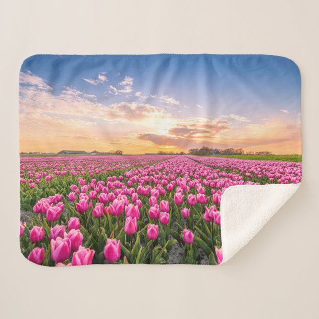 Flowers | Tulips South Holland, Netherlands Sherpa Blanket (Front (Horizontal))