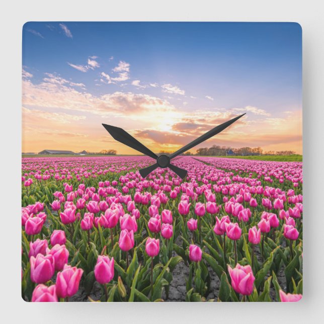 Flowers | Tulips South Holland, Netherlands Square Wall Clock (Front)