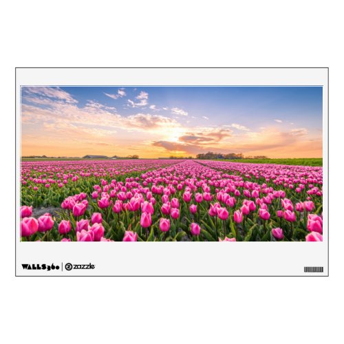 Flowers  Tulips South Holland Netherlands Wall Decal
