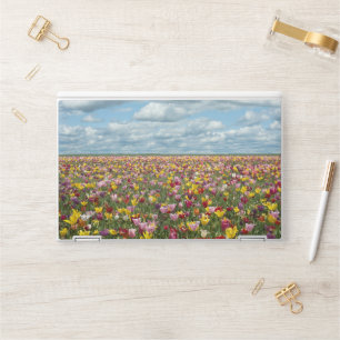 Flowers   Tulips Willamette Valley Oregon HP Laptop Skin