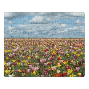 Flowers   Tulips Willamette Valley Oregon Jigsaw Puzzle