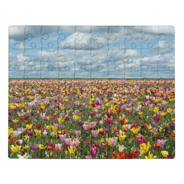 Flowers | Tulips Willamette Valley Oregon Jigsaw Puzzle (Puzzle Horizontal)