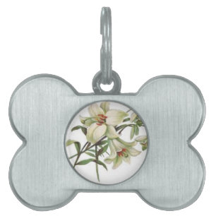 flowers vintage spring blossoms white lily pet name tag