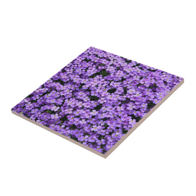 Flowers - Violets - Beautiful Ceramic Tile (Side)