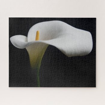 Flowers | White Calla Lily Jigsaw Puzzle by intothewild at Zazzle