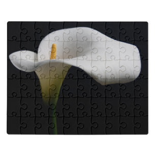 Flowers   White Calla Lily Jigsaw Puzzle